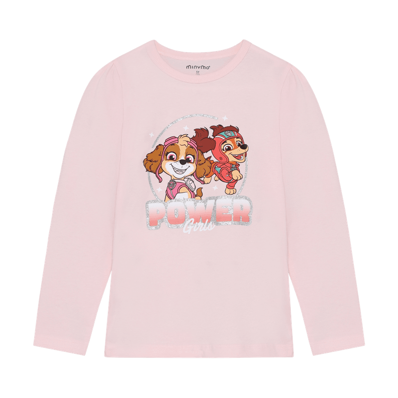 Paw patrol power girls 