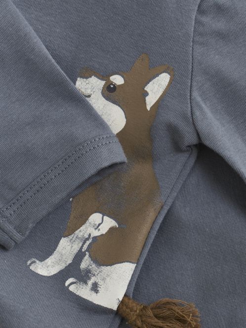 Hovedbilde Body hund 
