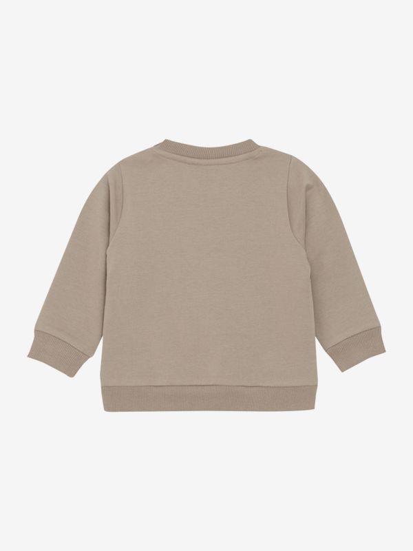 Koalagenser brun